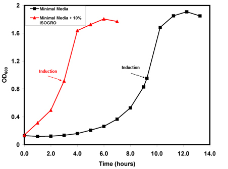 Growth Curve cTnC(1-89) pLysS. OD600 versus time (hours).