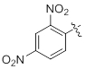Dinitrophenyl