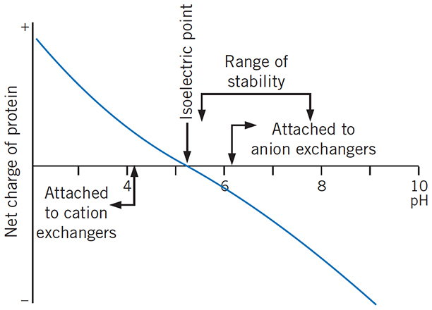 Considerations when selecting a suitable IEX medium