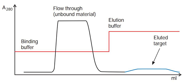 Target elutes in a broad, low peak