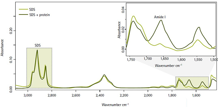 Measuring protein concentration without interference from SDS, thanks to nonoverlapping IR signals in the Direct Detect spectrometer.