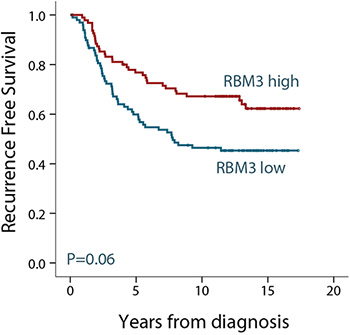 kaplan-meier-生存-分析