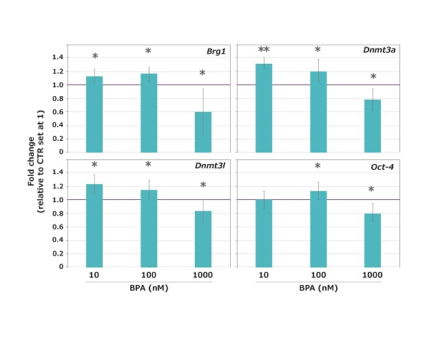 Effects of BPA on maternal-effect gene expression in mouse oocytes Expression of maternal-effect genes in mouse oocytes exposed to BPA during the GV-to-MII transition.