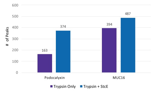 MS Peaks With and Without Mucinase StcE Treatment Graph showing the number of peaks in spectra by LC-MS after treatment of Podocalyxin and MUC16 by Trypsin only and by Trypsin + Mucinase StcE (Product No. SAE0202). Podocalyxin had 163 peaks with Trypsin only and 374 peaks with Trypsin + Mucinase StcE, whereas MUC16 had 394 and 487 peaks respectively.