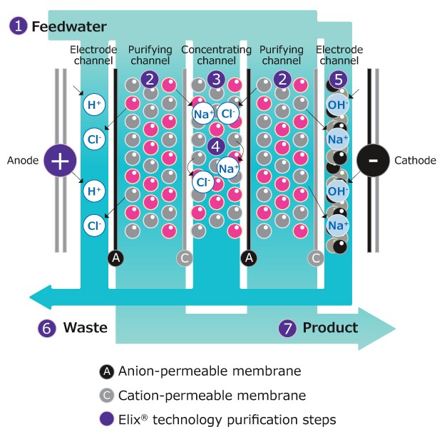 Diagram of an Elix® electrodeionization module for water purification Illustration of an Elix EDI module, detailing the feedwater flow through the electrode, purifying, and concentrating channels.