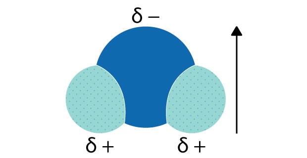 Diagram illustrating the polarity of a water molecule, showing the oxygen atom with a partial negative charge (δ-) and two hydrogen atoms with partial positive charges (δ+), along with an arrow indicating the dipole moment