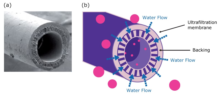 Photograph of an ultrafiltration fiber (a) and illustration of the ultrafiltration process (b) The left photo shows a close-up photograph of an ultrafiltration fiber and a diagram on the right depicts the ultrafiltration process, showing particles and molecules interacting with a membrane structure for separation.