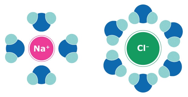 Illustration showing the interaction of water molecules with negatively charged chloride ions (Cl-) and positively charged sodium ions (Na+), highlighting how water molecules surround each ion.