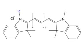 Cyanine n Fluorophore Structure Black-on-white structure of Cyanine n shows aromatic rings linked by a variable carbon chain, with charged N, Cl⁻, and a blue R group for substitution.