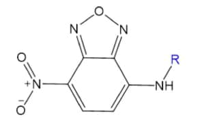 NBD fluorescent Dye Structure Black-on-white structure of NBD shows a benzene ring with diazole, nitro, and amine groups; R group in blue indicates a variable substituent.