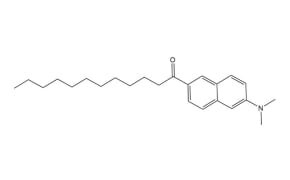 Structure of Fluorescent Probe Laurdan Structure shows a long hydrocarbon chain linked to a carbonyl and two-ring aromatic system ending in a nitrogen substituent.