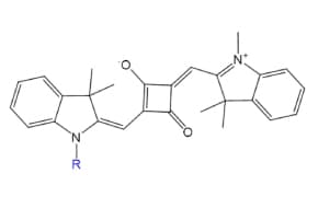 SquareFluor™ Probe (Ex/Em 610/630 nm) with Square Fluorophore Structure features a square fluorophore with aromatic rings, charged nitrogen, and a blue R group indicating variable substitution.