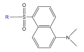 Structure of Fluorophore Danysl. Structure shows fused aromatic rings with a sulfonyl group, alkyl-linked nitrogen, and a blue R group for variable substitution.