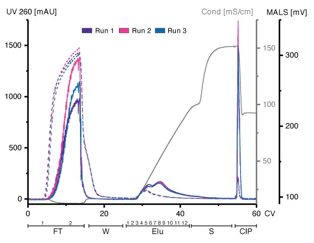 Chromatograms of three runs demonstrate that HEK293-derived EVs can bind to and be eluted from an Eshmuno<sup>®</sup> Q resin in a reproducible manner.