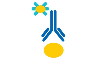 Add 200 µL/well of pre-formed complex to 96-well plate Add 200 µL/well of pre-formed complex to 96-well plate