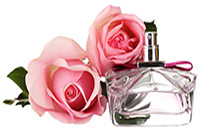 Perfume Roses