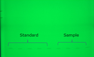 TLC plate development