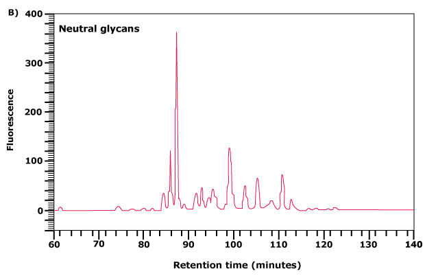Separation of neutral and acidic glycans of fetuin by weak anion-exchange chromatography