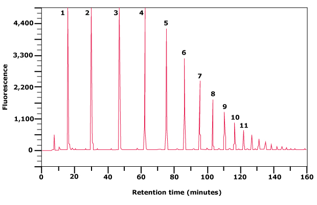 Separation of partially hydrolyzed 2‑AB labeled Dextran Ladder by normal phase HPLC