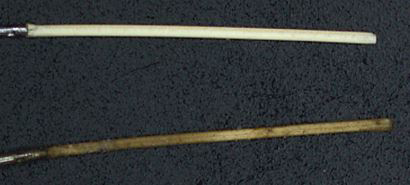 Overcoated fiber after 29 extractions of canned pumpkin