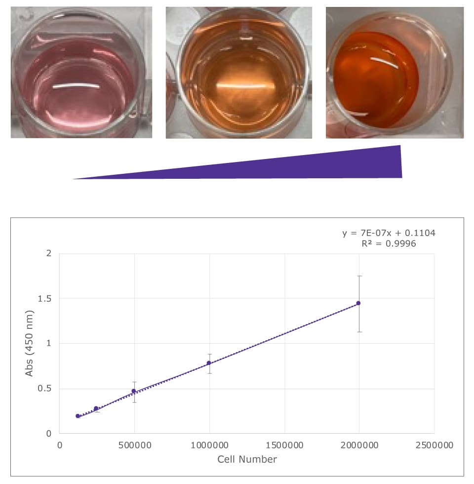 Colorimetric readout of EZ-MTT reagent and EZMTT cell proliferation assay on Jurkat cells Colorimetric readout of EZ-MTT reagent with Jurkat cells and quantification of colorimetric readout of EZMTT cell proliferation reagent added to varying concentrations of Jurkat cells