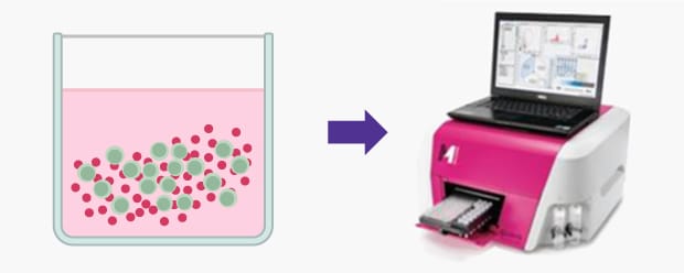 Flow cytometry workflow - Step 1 A flow cytometry method to quantify CD4+ migrated cells towards chemoattractant