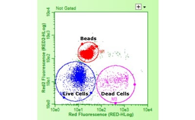 Flow cytometry workflow - Step 2 Flow cytometry analysis illustration