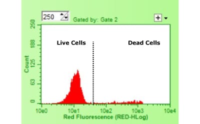 Flow cytometry workflow - Step 4 Quantifying Viable Cell Count illustration