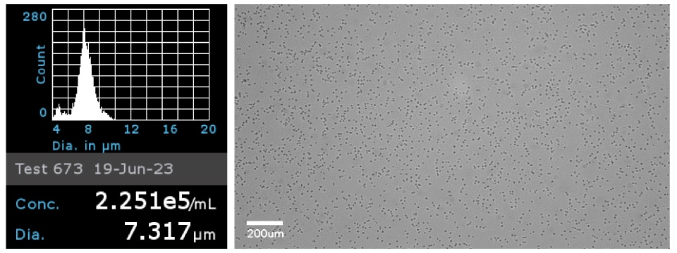 Primary CD4+ cell concentration and diameter Cell concentration and diameter of Primary CD4+ cells and microscopy image of Primary CD4+ cells to confirm cell morphology