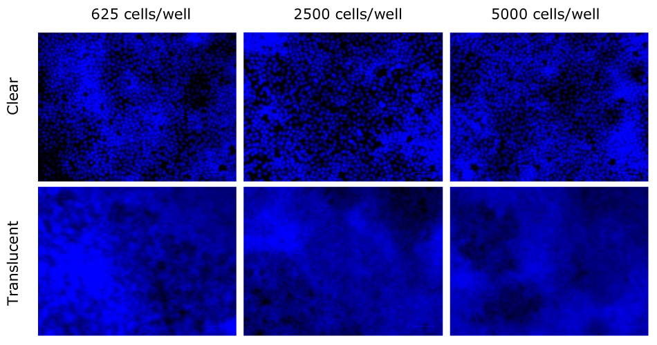 MDCK II nuclei were stained with DAPI after 7 days and compared between clear and translucent Millicell® membranes. They were stained for three seeding densities 625, 2500, and 5000 cells/well. Nuclei were more clearly visible on clear Millicell® inserts than translucent.