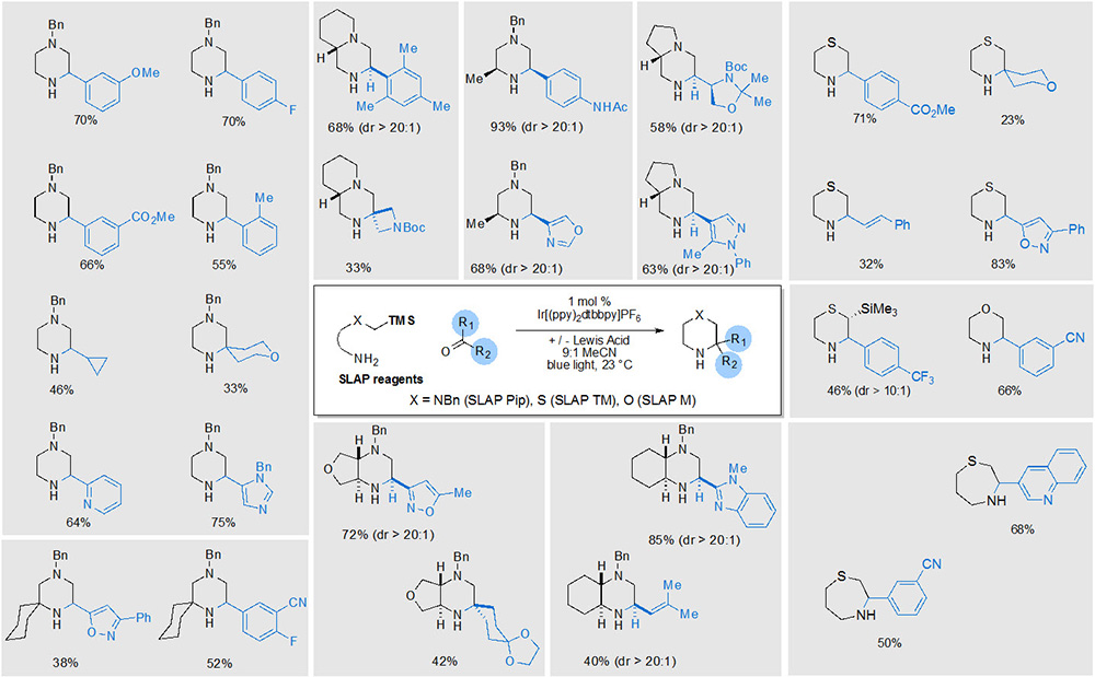 SiLicon Amine Protocol (SLAP) Reagents
