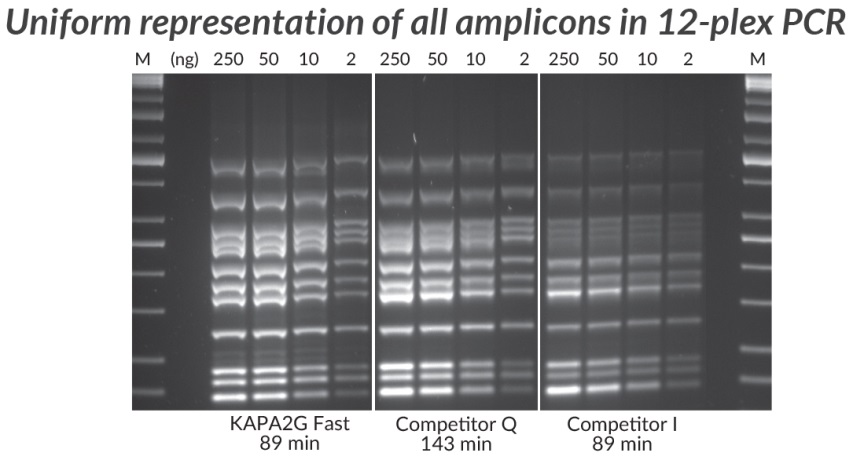 采用KAPA2G Fast多重PCR试剂盒、竞品Q和竞品I进行多重PCR（12重）。