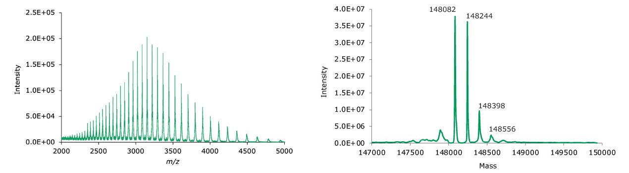 MS data for non-reduced adalimumab. Left: summed spectrum; right: deconvoluted spectrum.