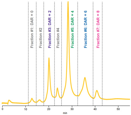 HIC separation of native ADC Mimic demonstrating fractions collected for LC-UV-MS analysis