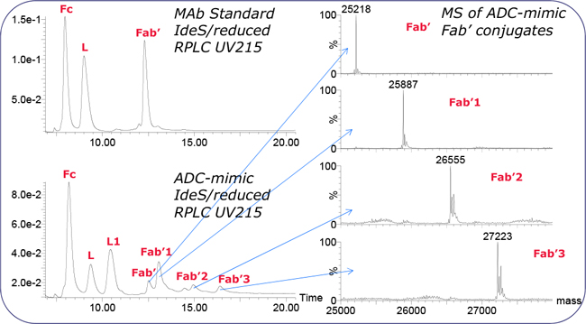 RPLC and Fab’ spectra of IdeS/reduced MAb Standard and ADC-mimic. Chromatography
