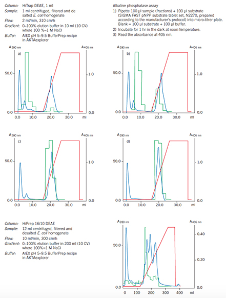 Optimization and scale up on DEAE Sepharose Fast Flow
