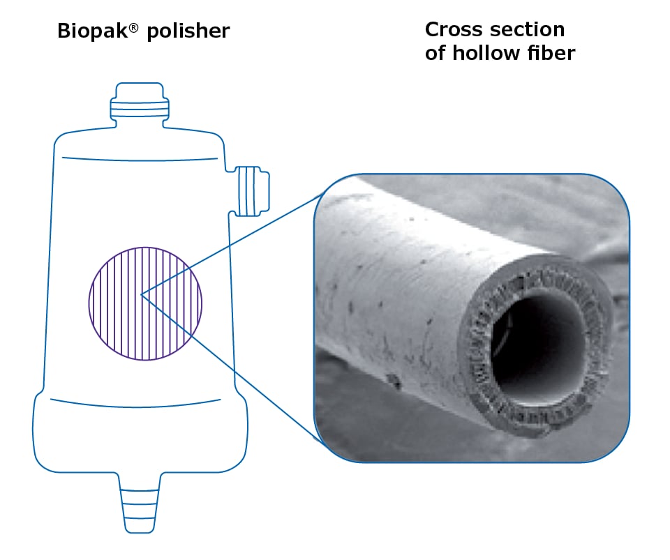 SEM cross section of ultrafiltration polysulfone hollow fiber in Biopak polisher SEM cross section of ultrafiltration polysulfone hollow fiber in Biopak polisher