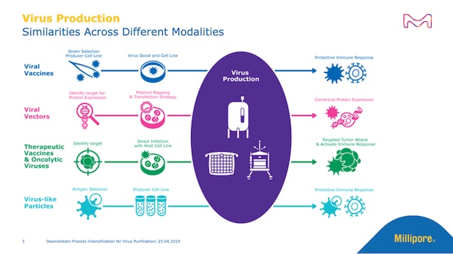 Image shows slide 5 of the webinar slide deck displaying the similarities of production between the different modalities (viral vaccines, viral vectors, therapeutic vaccines & oncolytic viruses, and virus-like particles)
