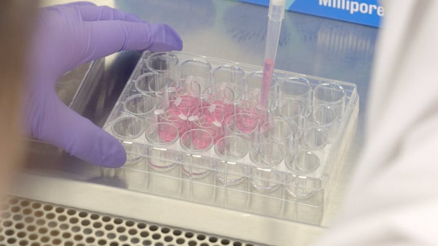 Chapter 1: 2.5D Cell Culture – Millicell<sup>®</sup> Hanging Inserts How-to-use Video Series Chapter 1: 2.5D Cell Culture – Millicell<sup>®</sup> Hanging Inserts How-to-use Video Series