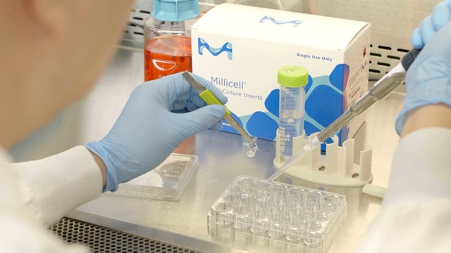 Chapter 2: Fluorescent and Immunohistochemistry Staining – Millicell<sup>®</sup> Hanging Inserts How-to-use Video Series Chapter 2: Fluorescent and Immunohistochemistry Staining – Millicell<sup>®</sup> Hanging Inserts How-to-use Video Series
