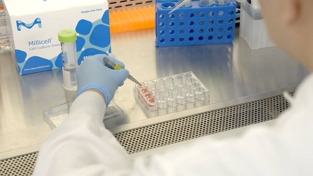 Chapter 3: Organotypic Air-Liquid Interface 3D Skin Cultures – Millicell<sup>®</sup> Hanging Inserts How-to-use Video Series Chapter 3: Organotypic Air-Liquid Interface 3D Skin Cultures – Millicell<sup>®</sup> Hanging Inserts How-to-use Video Series