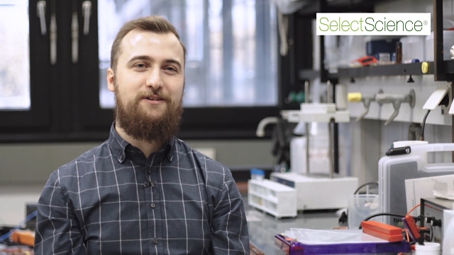 Reprogramming the Immune System