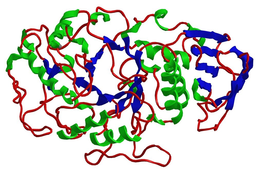 Large Molecule HPLC