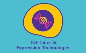 细胞系与表达技术