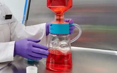 Scientist filtering cell culture media