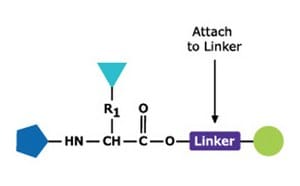 step1-peptide-synthesis-400x248.jpg