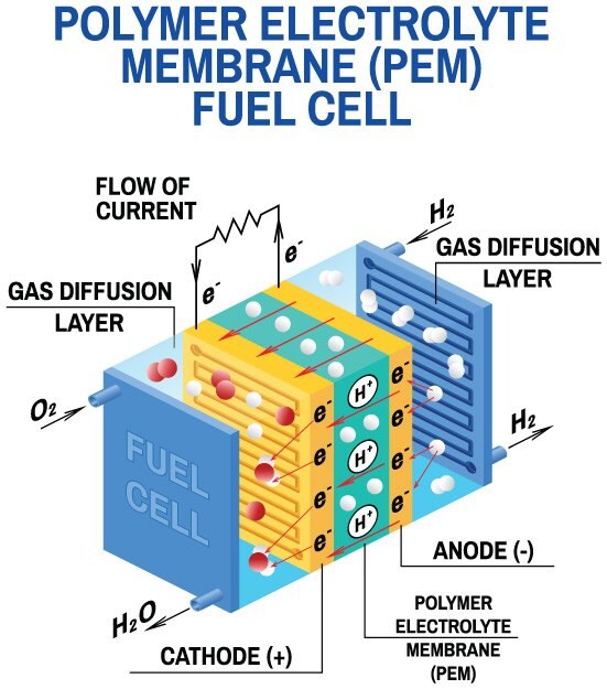 Illustration of a PEM fuel cell showing how chemical energy is converted to electrical energy using hydrogen gas and oxygen gas as fuel. 
