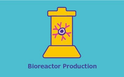 Bioreactor Production 