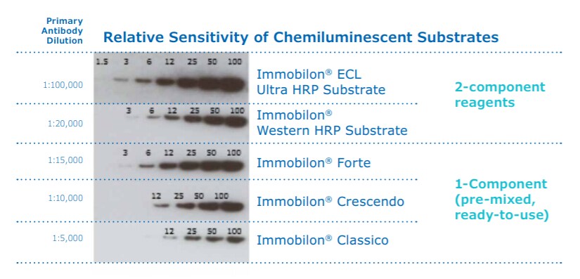 Sensitivities of Immobilon® Western blotting chemiluminescent substrates