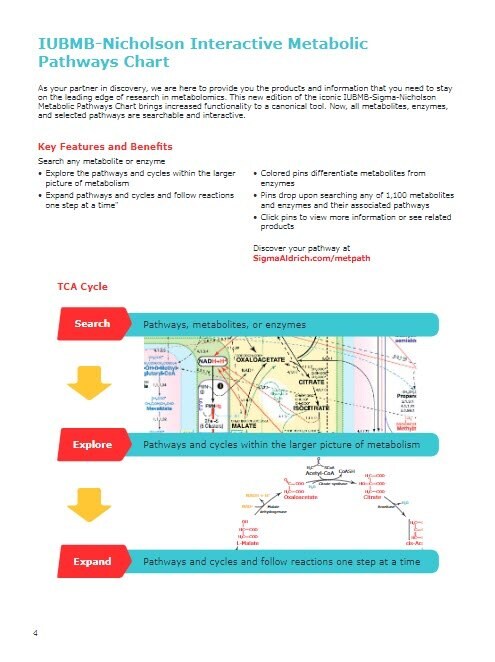 Metabolomic Discovery Brochure Page 4